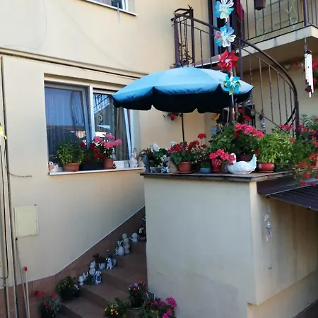 Cleopatra Cluj-Napoca