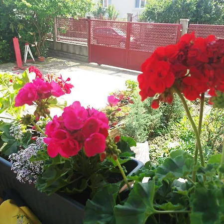 Cleopatra * Cluj-Napoca