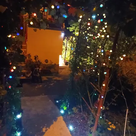 Cleopatra * Клуж-Напока