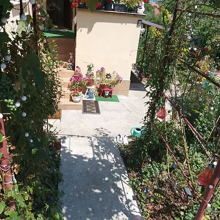 Cleopatra Cluj-Napoca