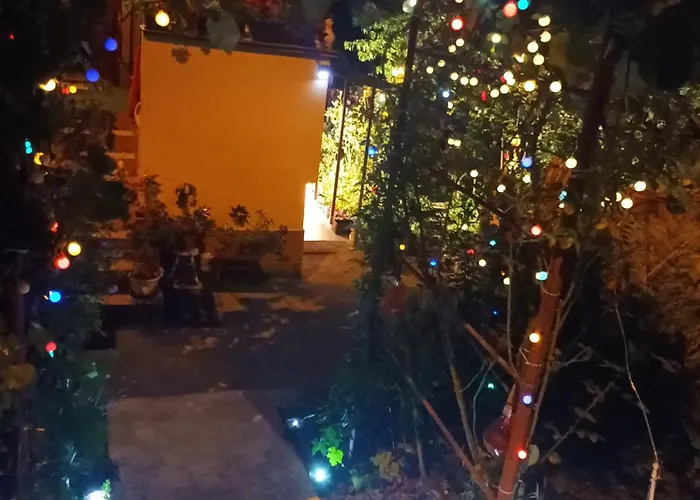 Cleopatra * Клуж-Напока