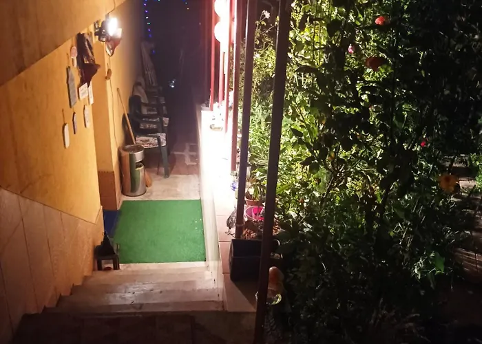 Cleopatra * Клуж-Напока