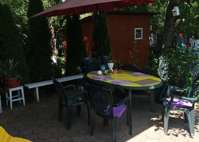 Cleopatra Клуж-Напока